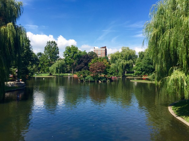 Boston Public Garden