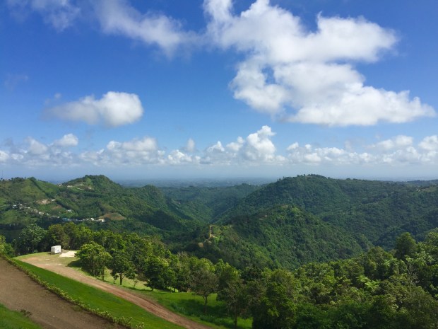Puerto Rico Toro Verde