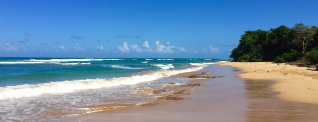 Playa La Selva Puerto Rico - Beaches and Brie