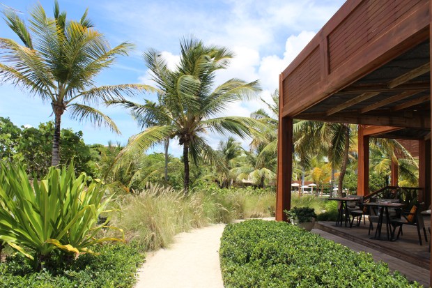 vieques w hotel puerto rico