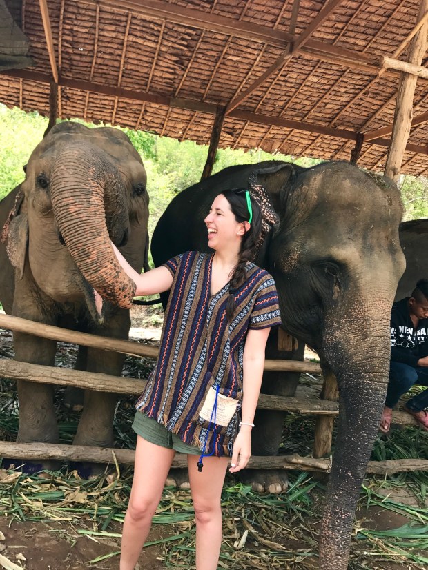 elephant jungle sanctuary cristina nogueras beaches & brie thailand
