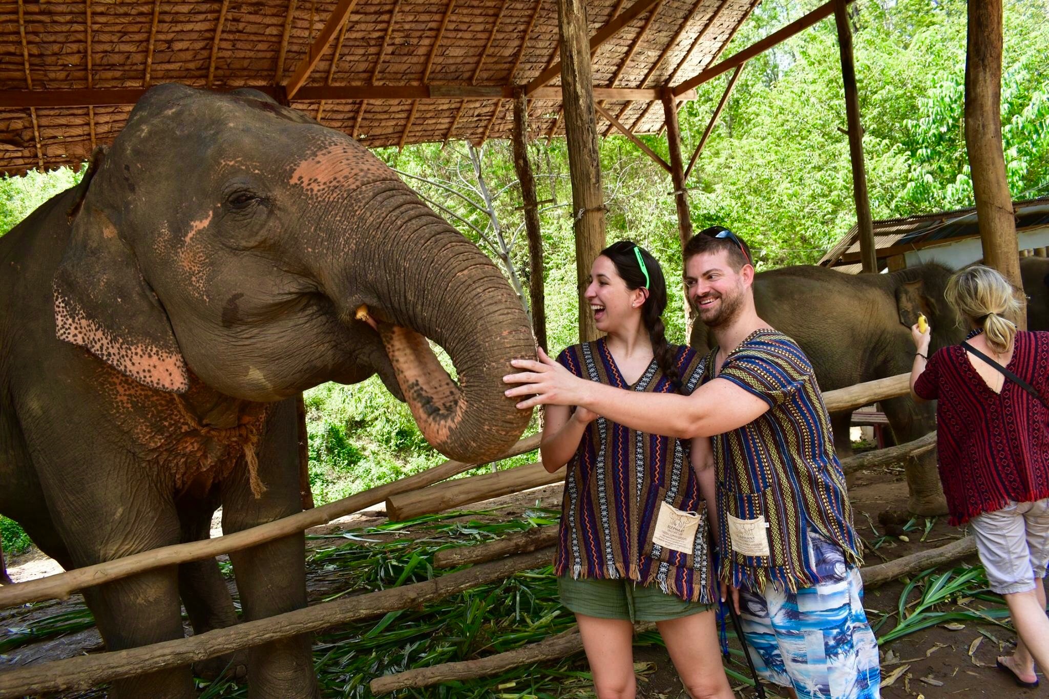 elephant jungle sanctuary cristina nogueras beaches &amp; brie thailand