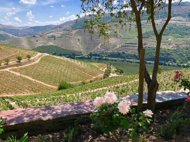 cristina nogueras photography portugal douro